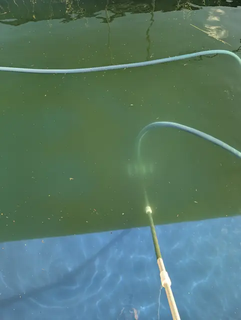 Vacuum hose in a green pool with the clean blue floor showing underneath