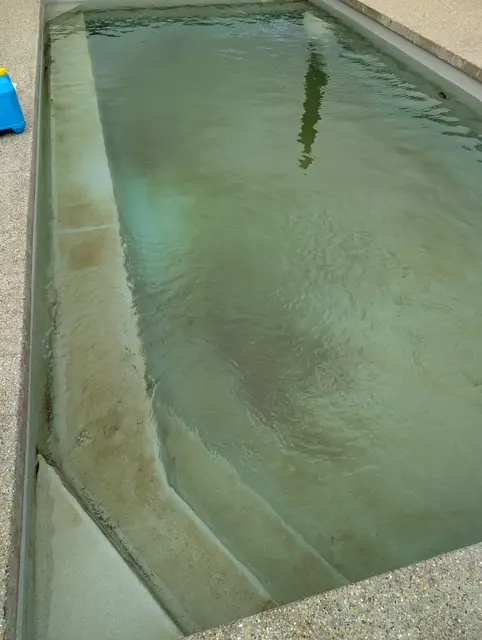 Algae stained pool steps under green water